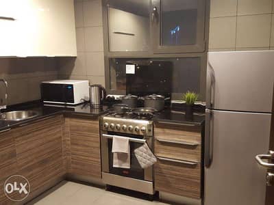 Benid Al Qar - Amazing Fully Furnished and Serviced 2&3 BR Apartment 5