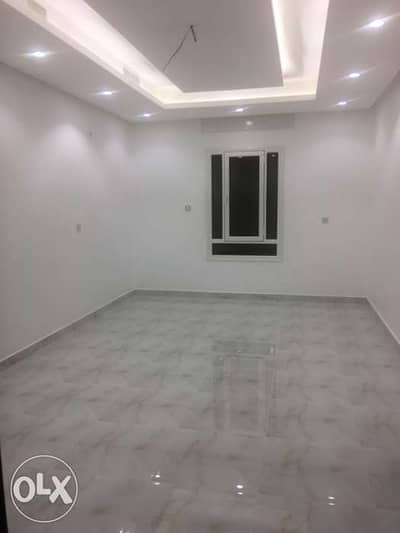deluxe flats for rent new abu halifa 0